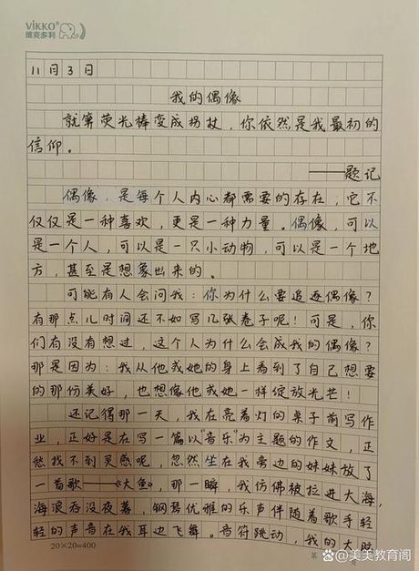 我的偶像作文600字，我的偶像