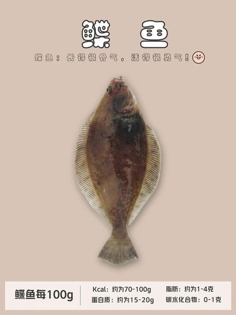鲽鱼为什么不吃身子