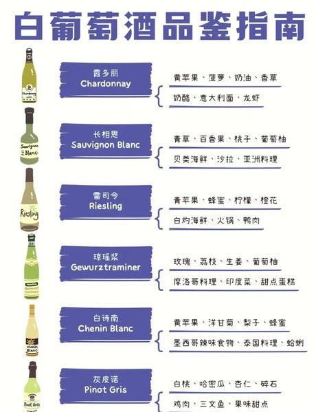 干白葡萄酒怎么喝，干白葡萄酒的品鉴之道