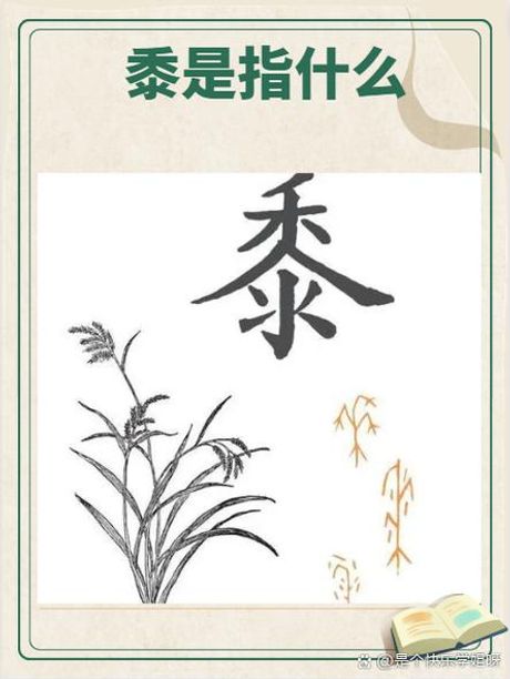 黍怎么念