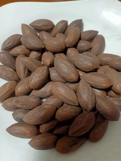香榧多少钱一斤？揭秘这种珍贵坚果的价格之谜