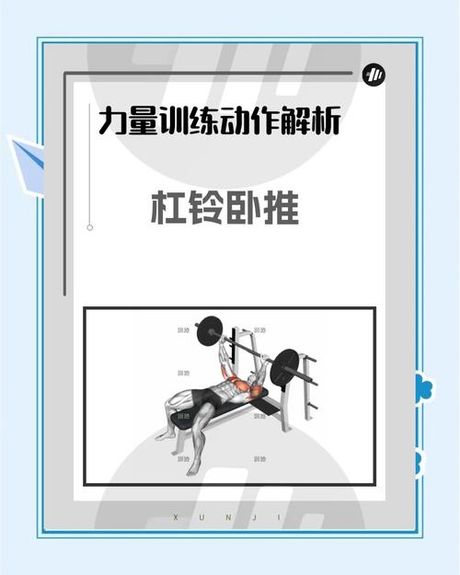 杠铃训练全攻略：动作、技巧与注意事项