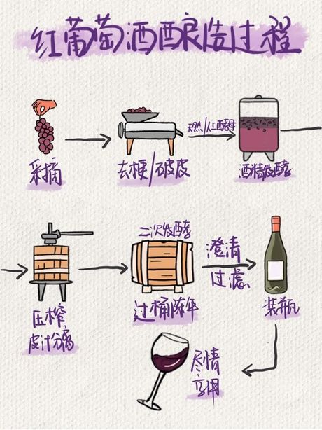 制作葡萄酒最正宗的方法