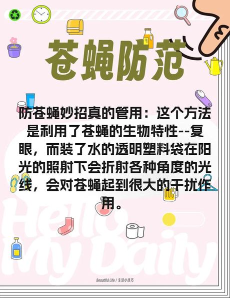 如何应对苍蝇过多：实用妙招大揭秘
