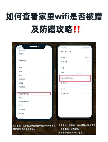 如何查看手机MAC地址：详解与技巧