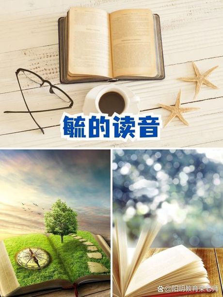 毓怎么读，探秘汉字“毓”的读音与含义