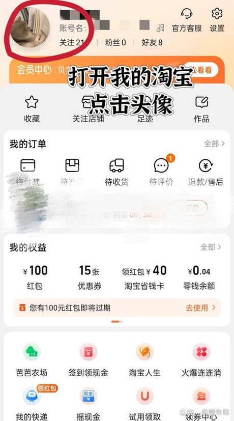 我的淘宝人生账单在哪里看