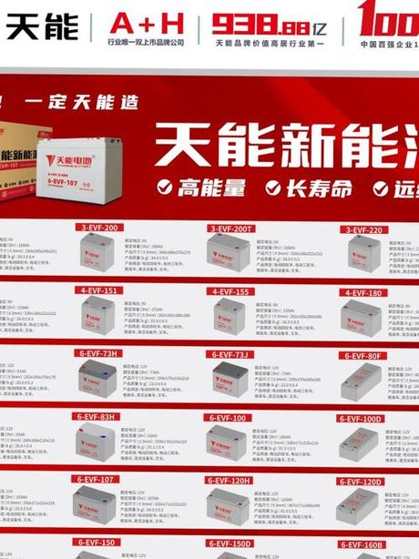 天能电池：技术创新和市场表现