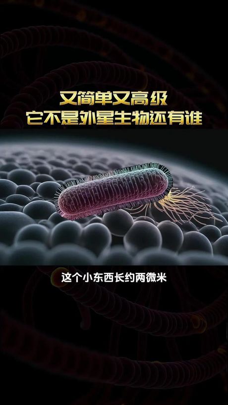 1丝等于多少微米：探索微米与丝的关系