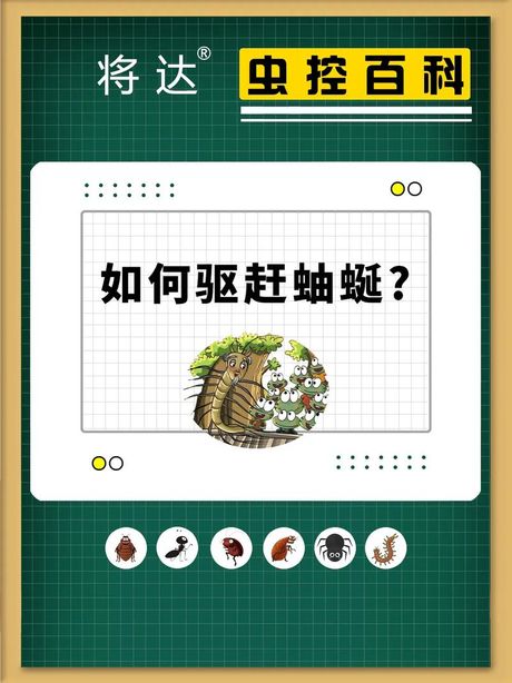 蚰蜒怎么样消灭干净，如何消灭蚰蜒