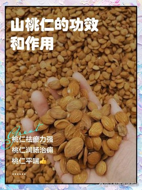 孕妇可以吃桃仁吗？