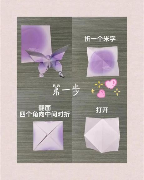 折蝴蝶的基础知识