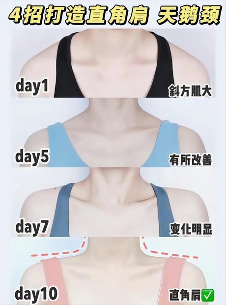 塑造优雅天鹅颈：简单有效的练习方法