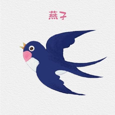 动物燕子档案卡：记录与了解燕子的实用指南