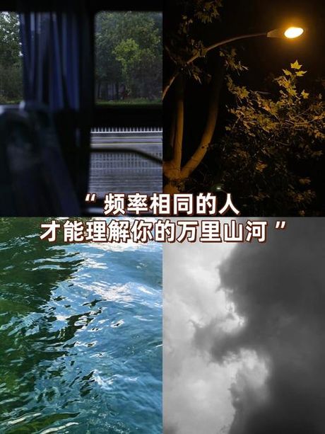 感慨：情感与思想的交织