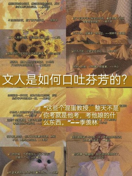 口吐芬芳：从网络流行语到文化现象