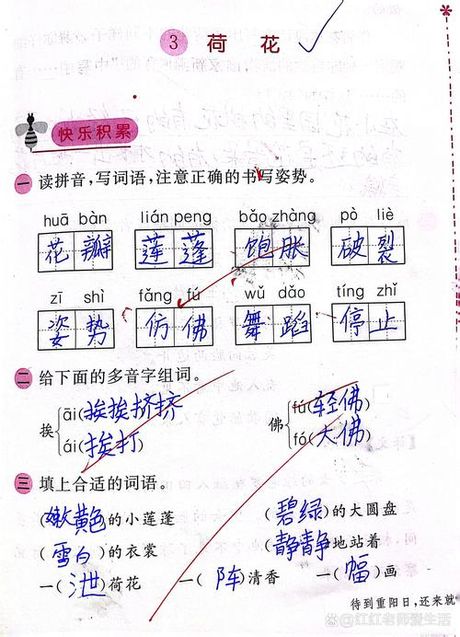 荷花的拼音怎么写