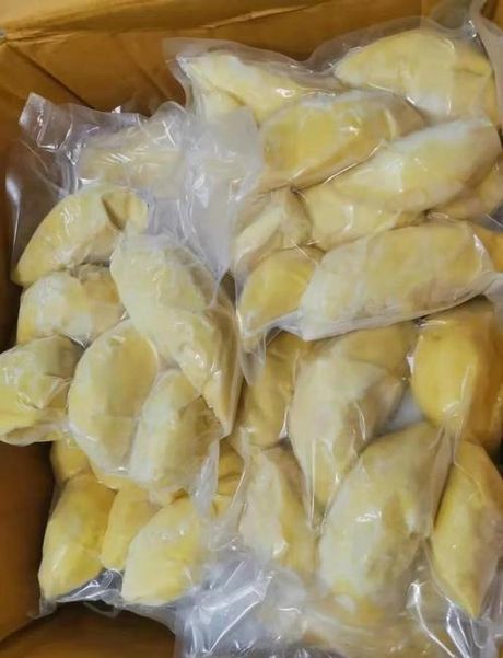 榴莲肉可以冷冻保存吗