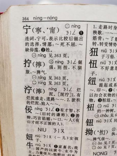 廖怎么读，廖字的读音与含义解析