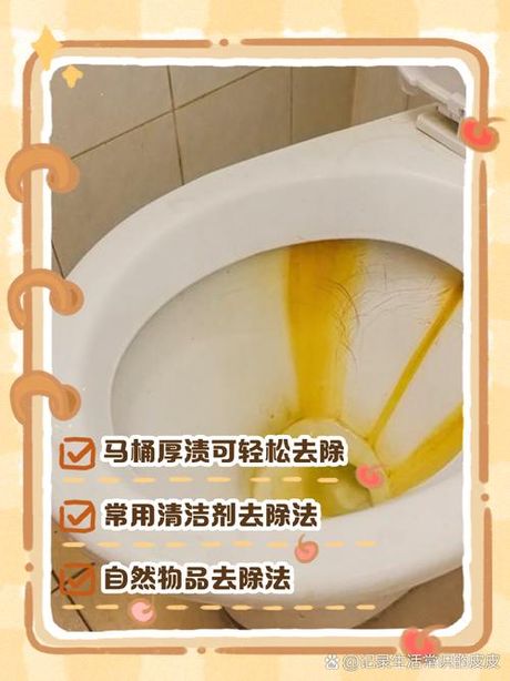 马桶尿垢很厚怎么去除