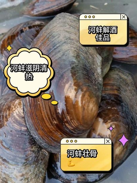 河蚌怎么杀：了解与操作