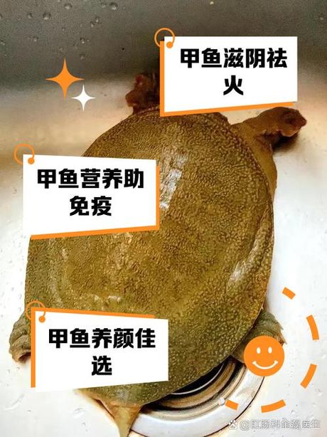 甲鱼的食用方法