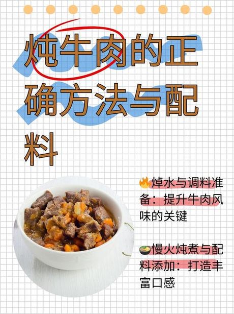 怎么煮肉