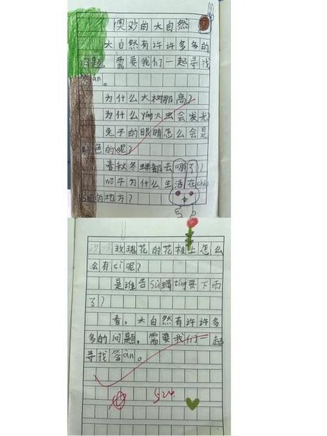 探索“毳”字的奥秘：你真的会读这个字吗？