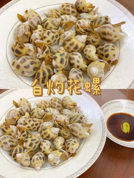 花螺要煮多久才熟