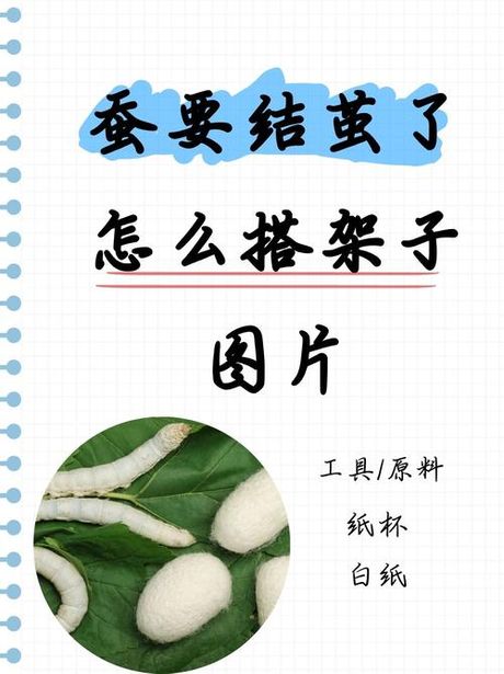 蚕结茧后是否可以移动