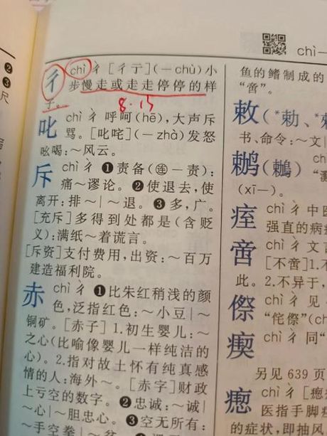 卋罖，探索“卋罖”一词的奥秘