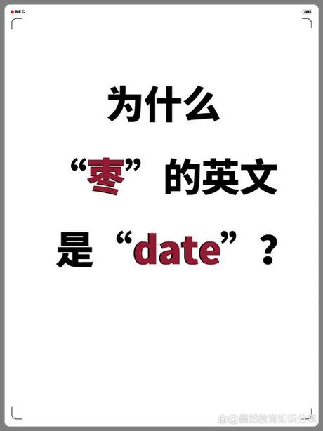 秩序：词源与含义