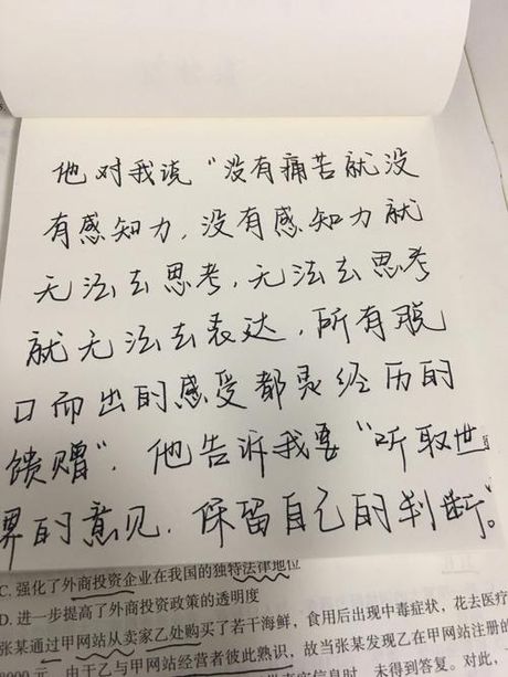 保留意见：一种审慎的表达方式