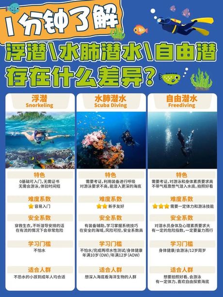 浮潜深潜一般多少米，浮潜与深潜深度指南