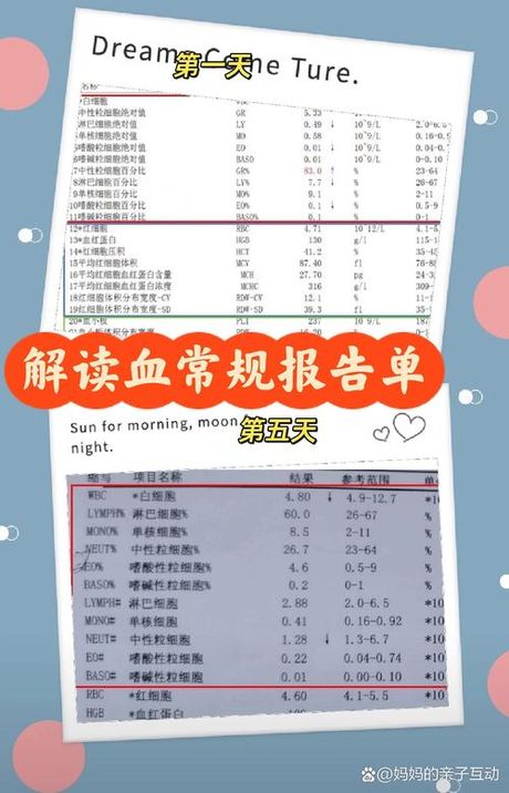 中性粒细胞绝对值偏高是什么意思？了解血液检查中的指标含义