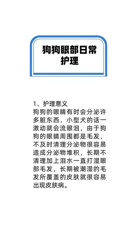 狗狗眼屎多怎么回事啊，狗狗眼屎多的原因及护理方法