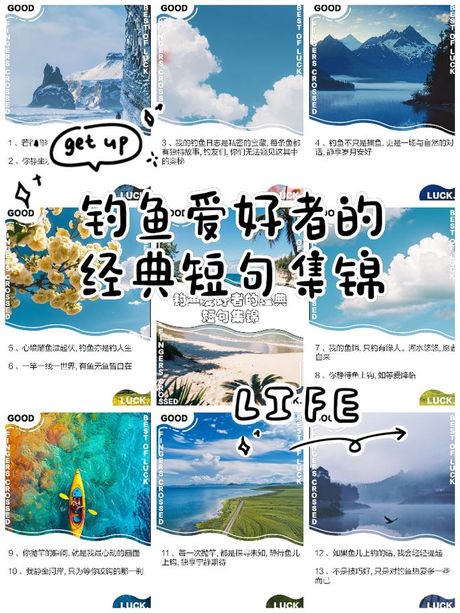 钓鱼的奥秘：从古至今的消遣与艺术