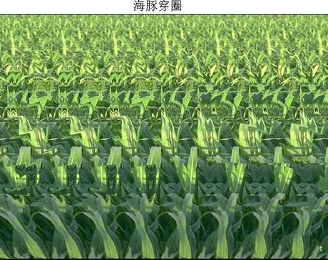 三维图片怎么看，如何解析三维图片