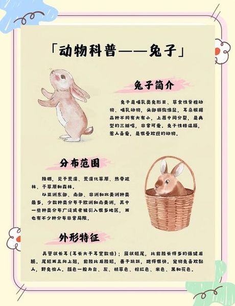 兔子图片，探索兔子世界的奇妙之处