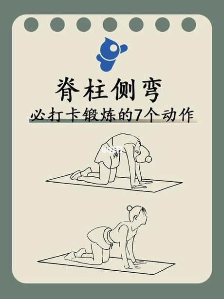前俯后仰：一个动作，多种解读