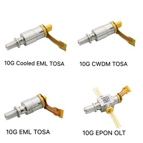 同人小说的魅力:2024年十大同人小说盘点