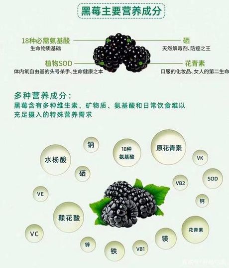 黑树莓的美味食用指南