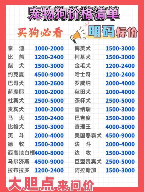 贵宾狗多少钱一只