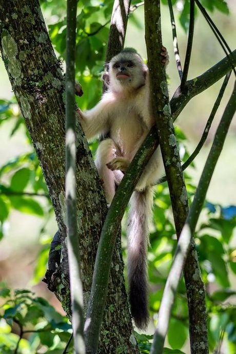 tencent是什么意思，Tencent是什么意思