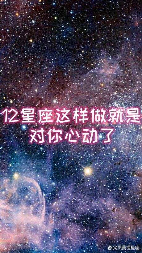 心仪：情感与选择的交汇