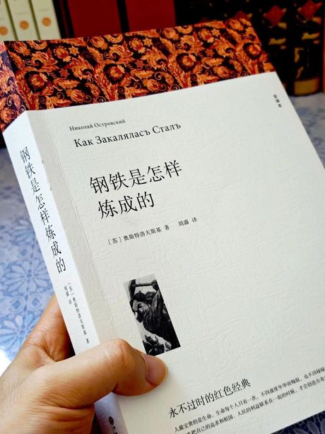 活宝：趣味与智慧的化身