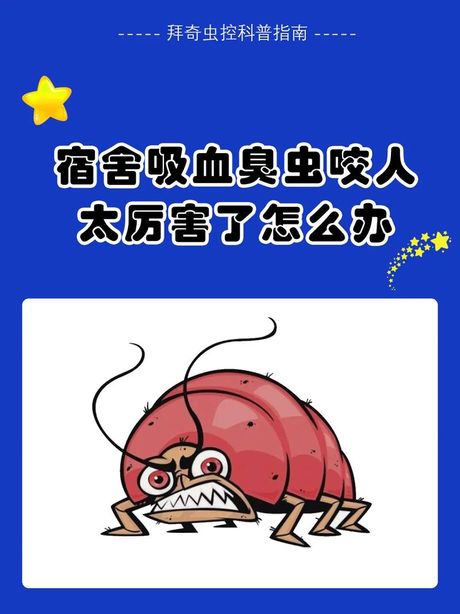 宿舍臭虫为什么光咬我