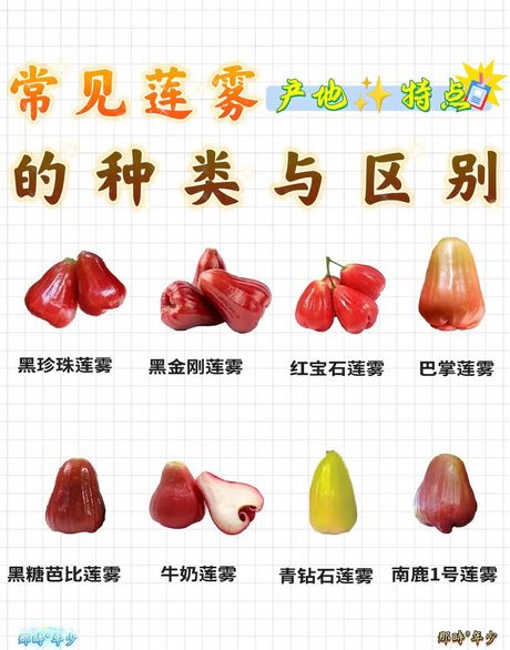 莲雾怎么吃：是否需要削皮