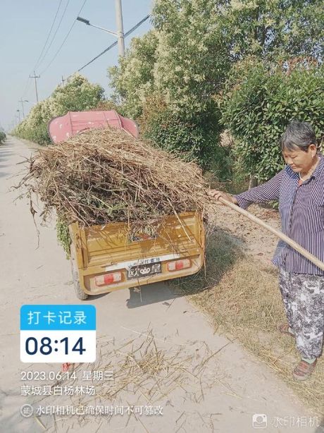 揭秘水印中的“Sample”：它是如何影响我们的生活的
