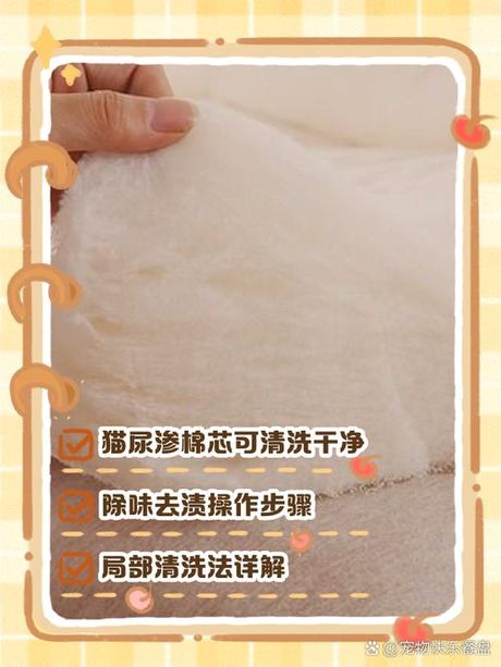 棉被芯被猫尿了怎么洗